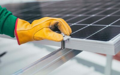7 Things I Wish I Knew Before Choosing A Solar Company
